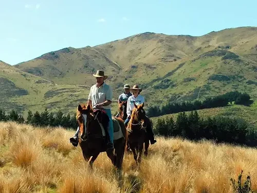 horse-trekking-lake-coleridge-canterbury-new-zealand