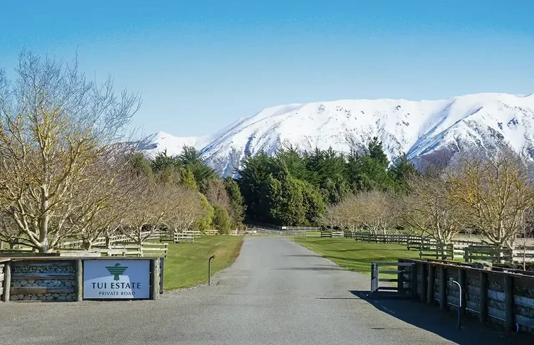 tui-estate-entrance-canterbury-new-zealand